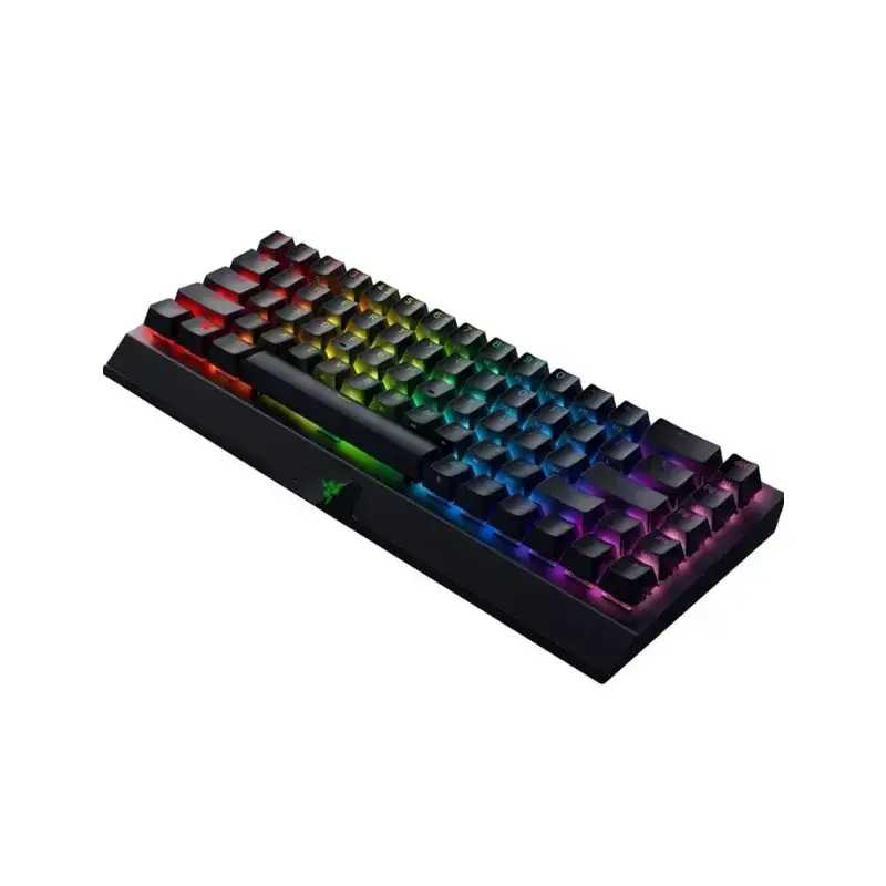 نورپردازی کیبورد ریزر blackwidow V3 mini hyperspeed